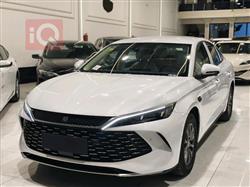 بي واي دي كوين L DM-i